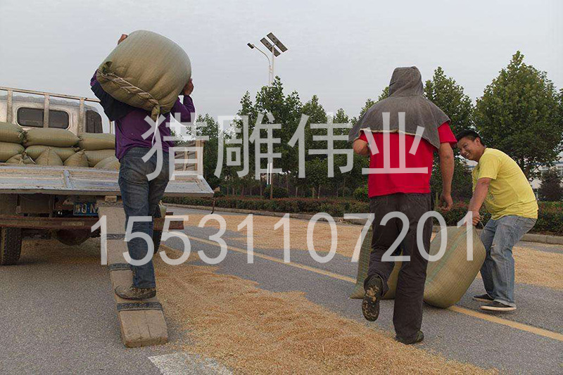 無土栽培,無土栽培技術,無土栽培設備