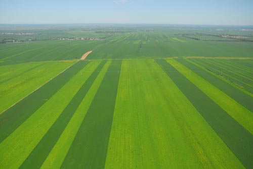 無土栽培，無土栽培技術，無土栽培設備