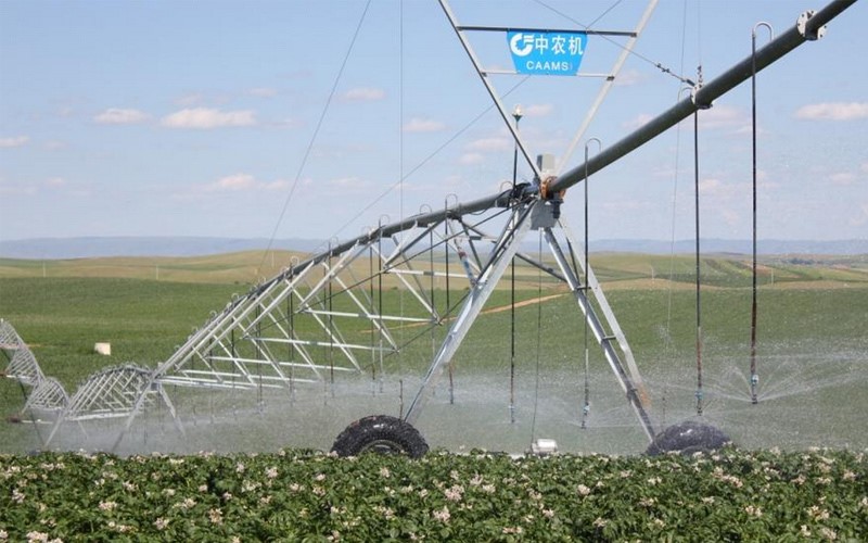 無土栽培，無土栽培技術，無土栽培設備