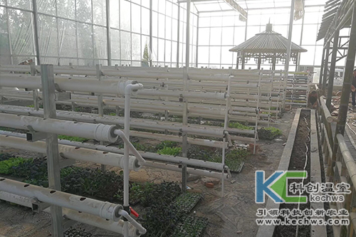 無土栽培,無土栽培技術,工程