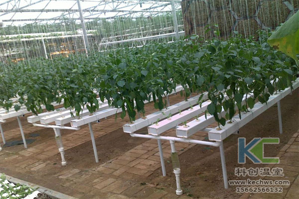 無土栽培，無土栽培技術，無土栽培設備