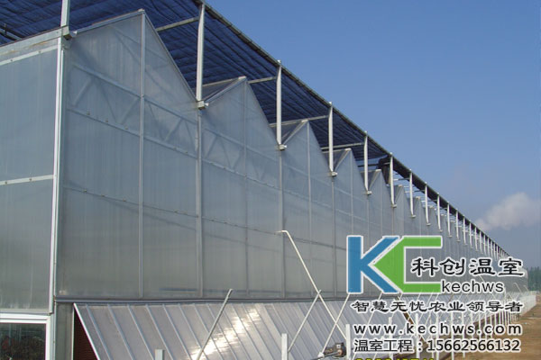 無土栽培，無土栽培技術，無土栽培設備