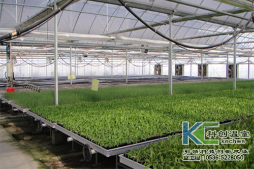 無土栽培，無土栽培技術(shù)，無土栽培設備