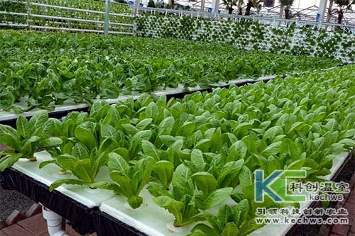 無土栽培，無土栽培技術(shù)，無土栽培設備