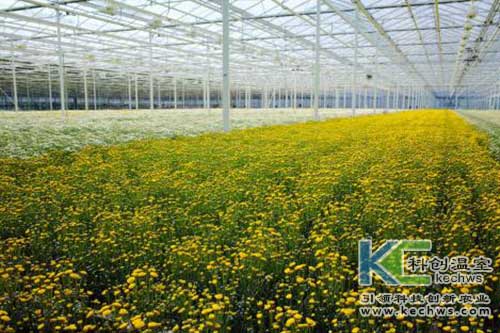 無土栽培，無土栽培技術(shù)，無土栽培設(shè)備