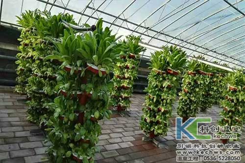 無(wú)土栽培,無(wú)土栽培設(shè)備,內(nèi)蒙古