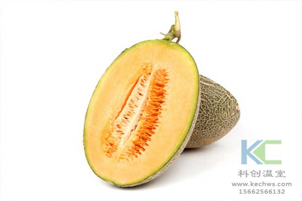 無土栽培,無土栽培技術,無土栽培設備