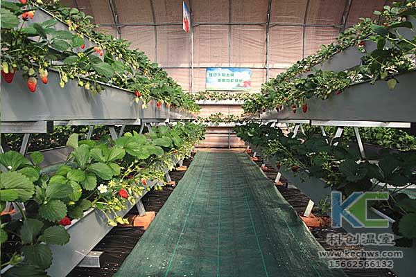 無土栽培，無土栽培技術，無土栽培設備