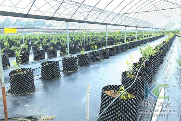 無土栽培，無土栽培技術(shù)，無土栽培設(shè)備