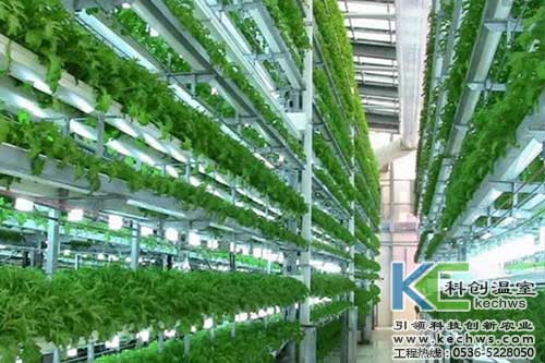無土栽培，無土栽培技術，無土栽培設備