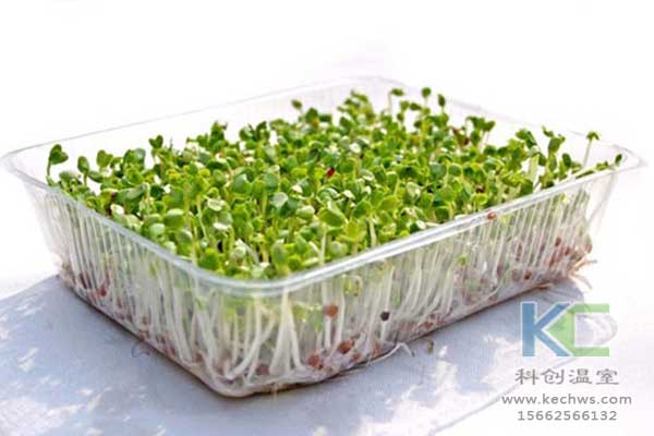 無(wú)土栽培，無(wú)土栽培基質(zhì)