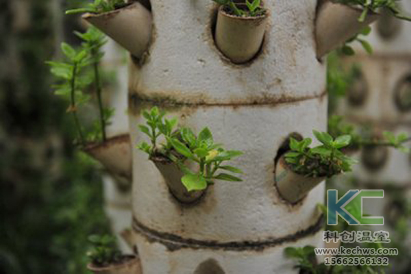 無(wú)土栽培，無(wú)土栽培技術(shù)，無(wú)土栽培設(shè)備