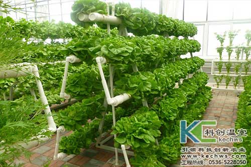 無土栽培，無土栽培技術，無土栽培設備