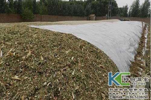 無土栽培，無土栽培技術，無土栽培設備