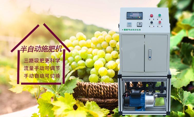 無土栽培，無土栽培技術，無土栽培設備