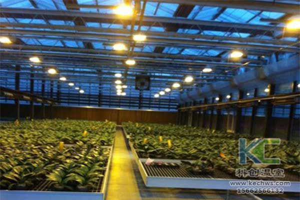 無土栽培，無土栽培技術(shù)，無土栽培設(shè)備