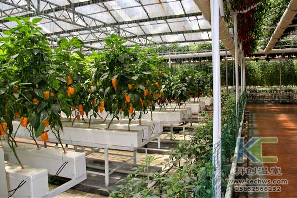 無(wú)土栽培，無(wú)土栽培技術(shù)，無(wú)土栽培設(shè)備