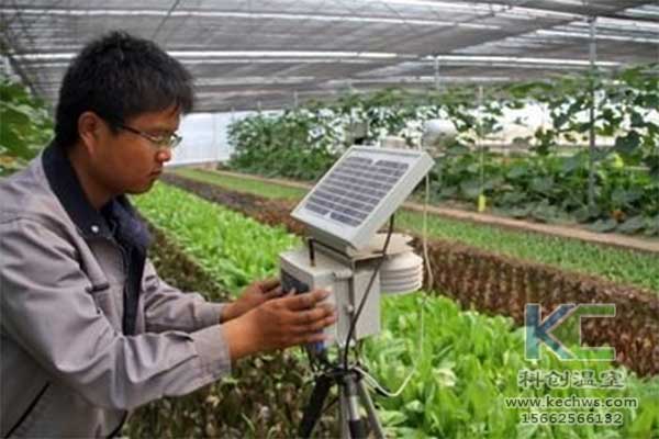 無土栽培，無土栽培技術，無土栽培設備
