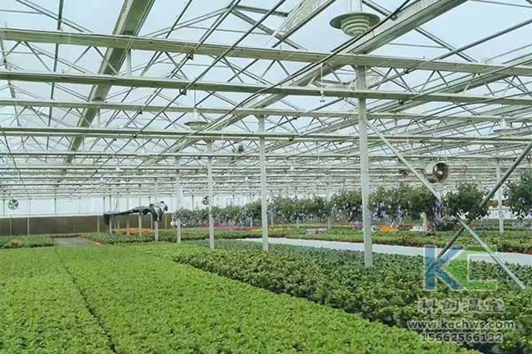 無土栽培，無土栽培技術(shù)，無土栽培設(shè)備