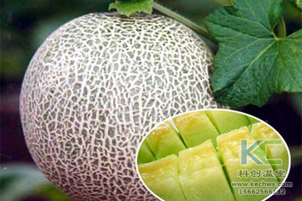 無土栽培，無土栽培技術(shù)，無土栽培設(shè)備