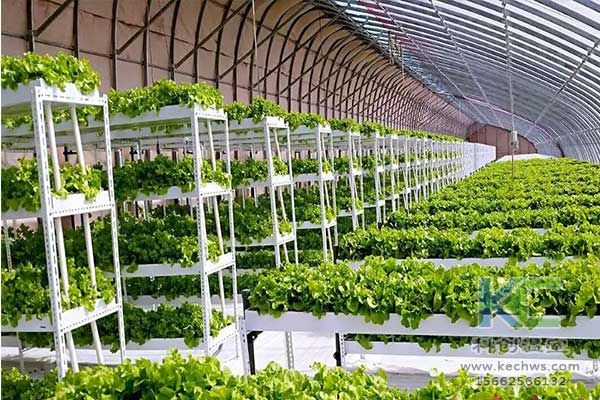 無土栽培，無土栽培技術