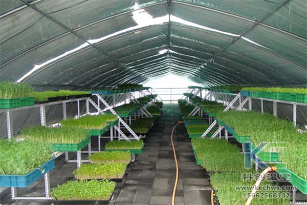 無土栽培，無土栽培技術