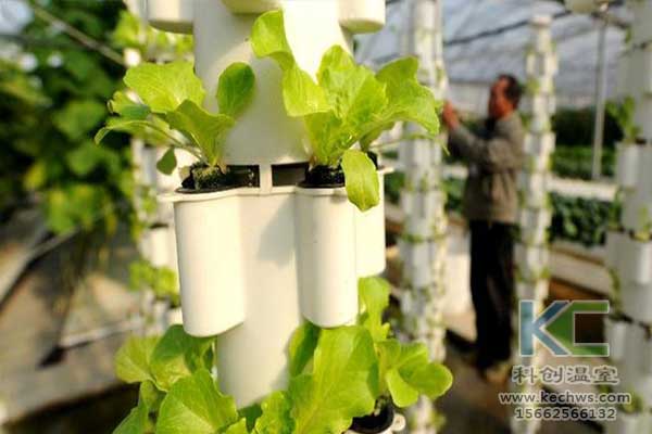 無土栽培，無土栽培技術，無土栽培設備