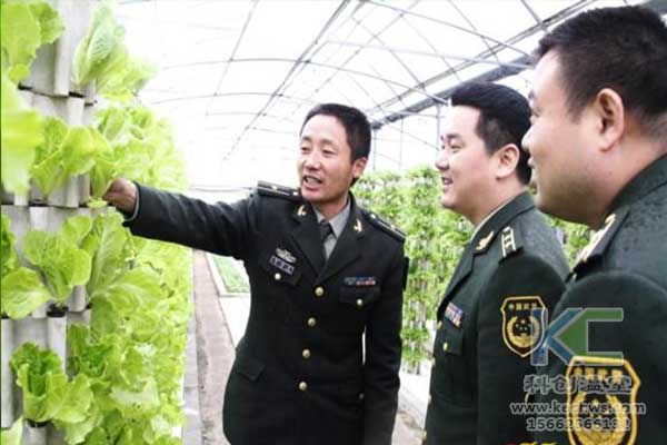 無土栽培，無土栽培技術，無土栽培設備