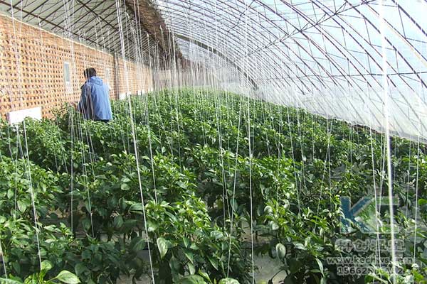 無土栽培，無土栽培基質