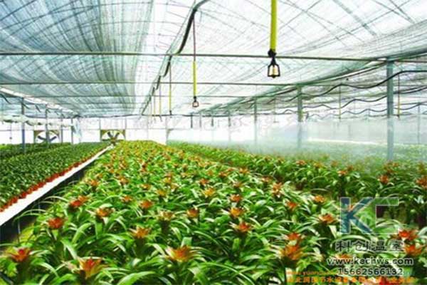 無土栽培，無土栽培技術，無土栽培設備