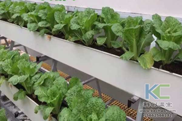 無土栽培，無土栽培技術，無土栽培設備