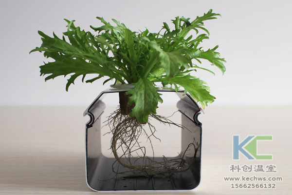 無土栽培技術，無土栽培設備，溫室大棚，無土栽培