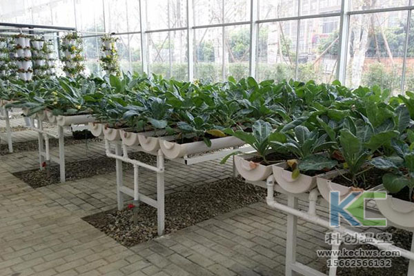 無(wú)土栽培，無(wú)土栽培技術(shù)，無(wú)土栽培設(shè)備