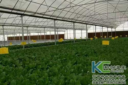 無土栽培，無土栽培技術(shù)，無土栽培設(shè)備