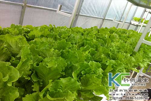 無土栽培，無土栽培技術，無土栽培設備