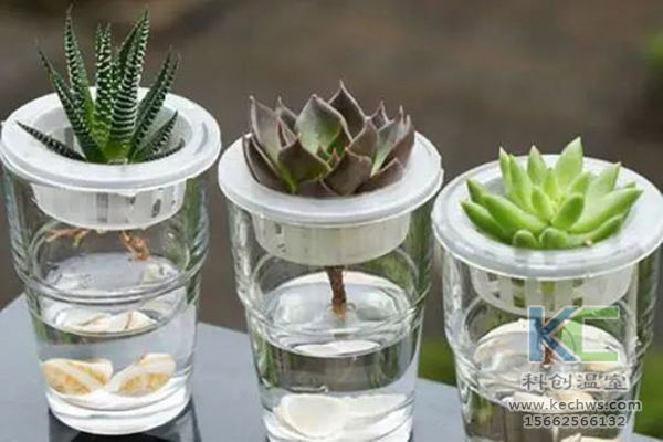 無土栽培，無土栽培技術，無土栽培設備