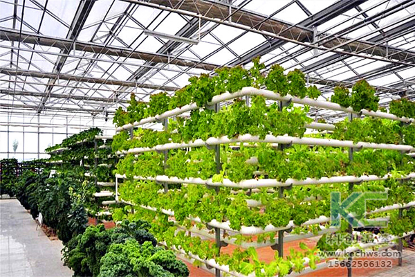 無土栽培，無土栽培技術，無土栽培設備
