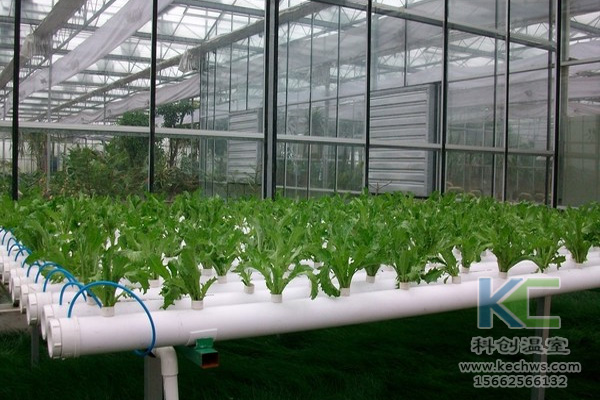 無土栽培技術，無土栽培設備，無土栽培，溫室大棚