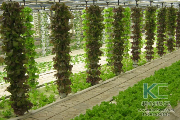 連棟溫室，無土栽培技術(shù)，栽培技術(shù)，無土栽培