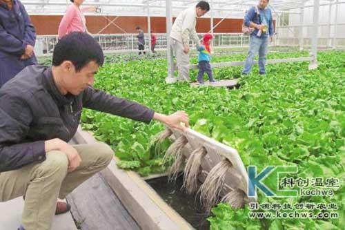 無土栽培，無土栽培技術，無土栽培設備