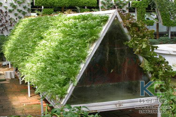 無(wú)土栽培技術(shù),基質(zhì)栽培,水培,溫室大棚