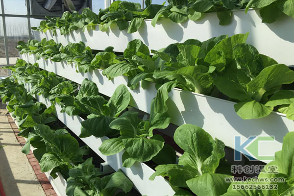 無土栽培，無土栽培技術，無土栽培設備