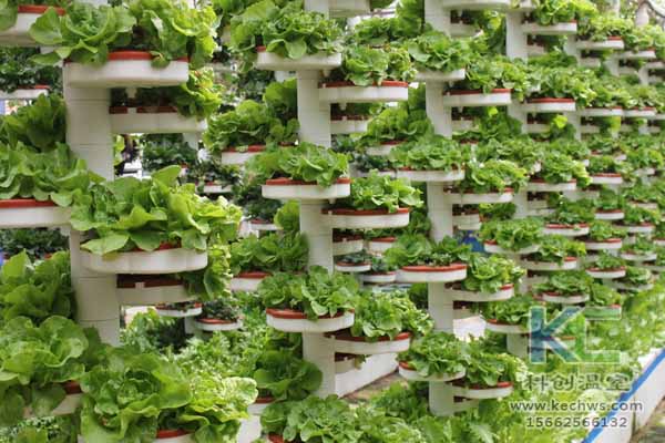 無土栽培技術(shù)，無土栽培設(shè)備，無土栽培，溫室大棚