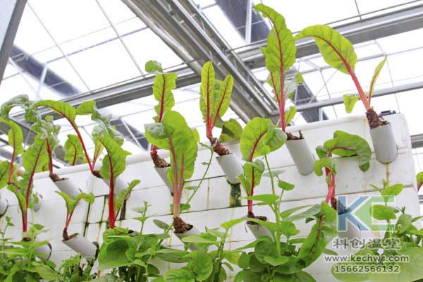 無土栽培,無土栽培技術,無土栽培設備