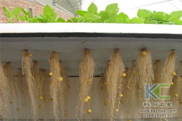 無土栽培技術，無土栽培設備，溫室大棚，無土栽培