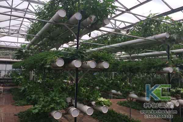 無土栽培技術，蔬菜大棚建設，溫室大棚，無土栽培