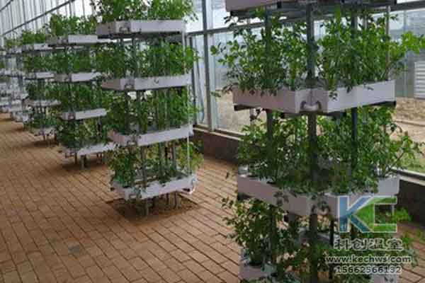 無土栽培技術，無土栽培設備，無土栽培，溫室大棚