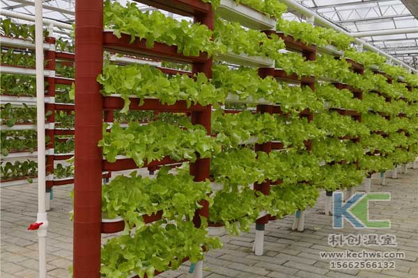 無土栽培技術(shù),無土栽培設(shè)備,魚菜共生,溫室大棚