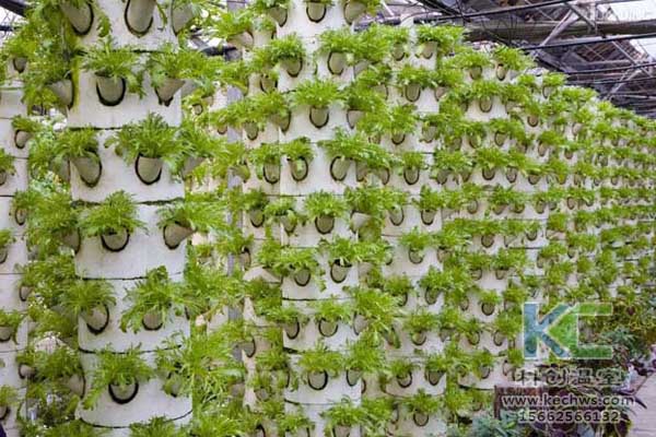 無土栽培，無土栽培技術(shù)，無土栽培設(shè)備