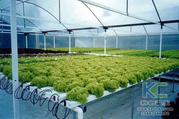 無土栽培技術(shù)，溫室大棚造價，無土栽培，溫室大棚